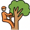 Arborist