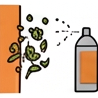 Mold Remediation